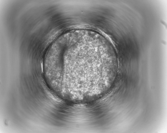 X0000093170061200710241048