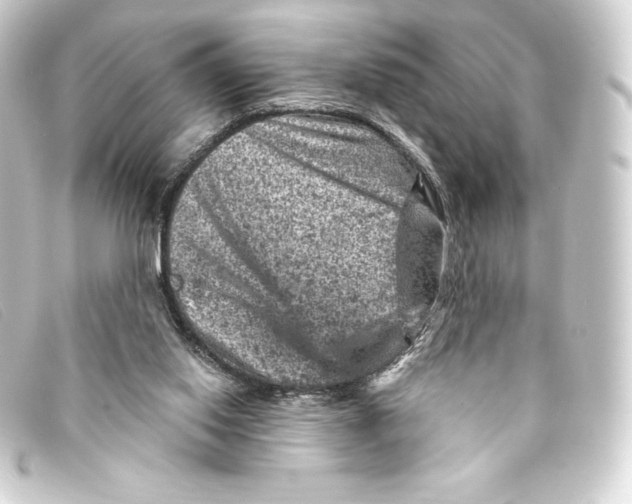 X0000093170062200710241048