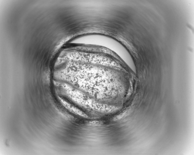 X0000093170064200710241048