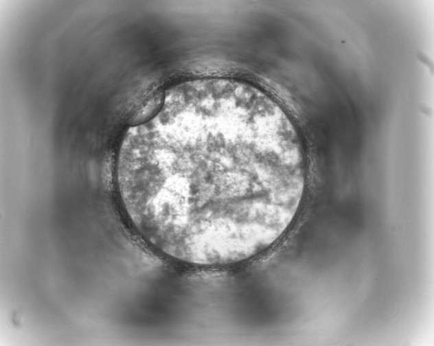 X0000093170065200710241048