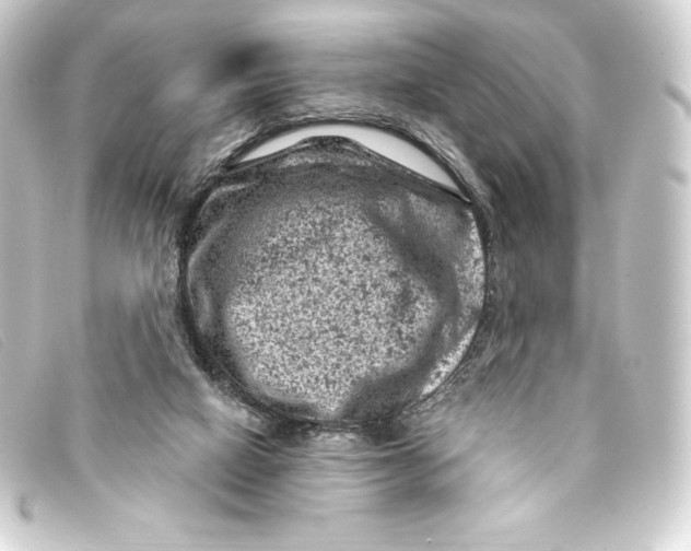 X0000093170066200710241048