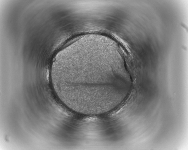 X0000093170067200710241048