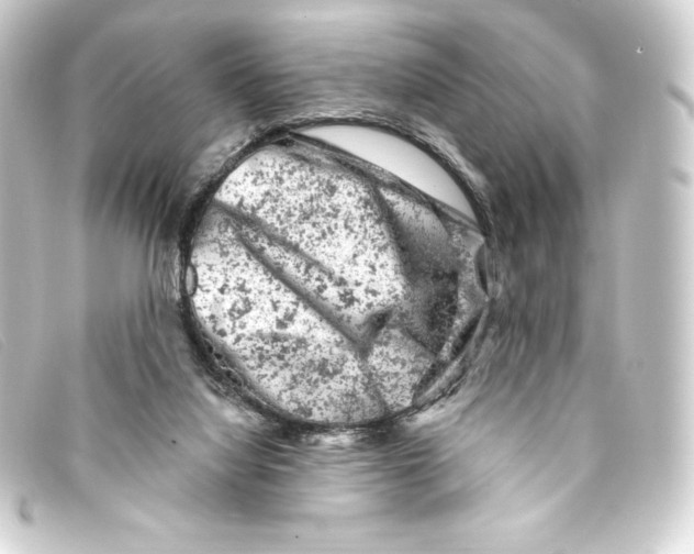 X0000093170068200710241048