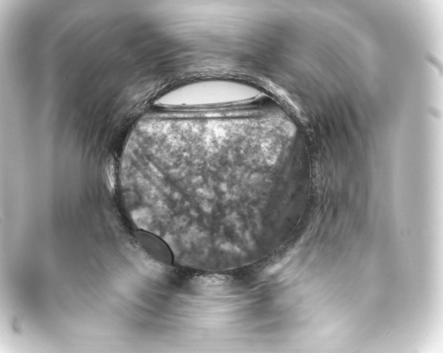 X0000093170069200710241048