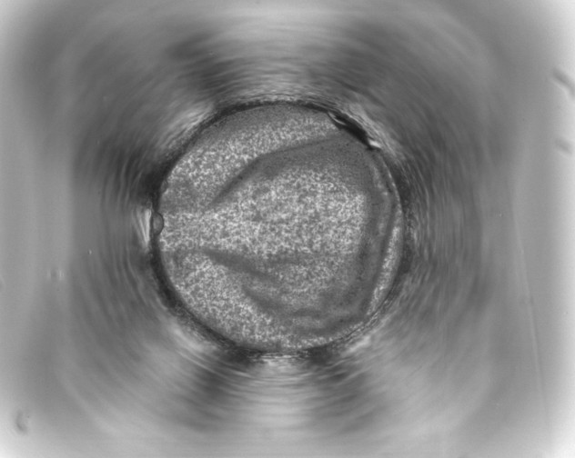 X0000093170070200710241048