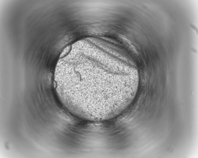 X0000093170071200710241048