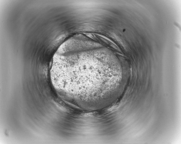 X0000093170072200710241048