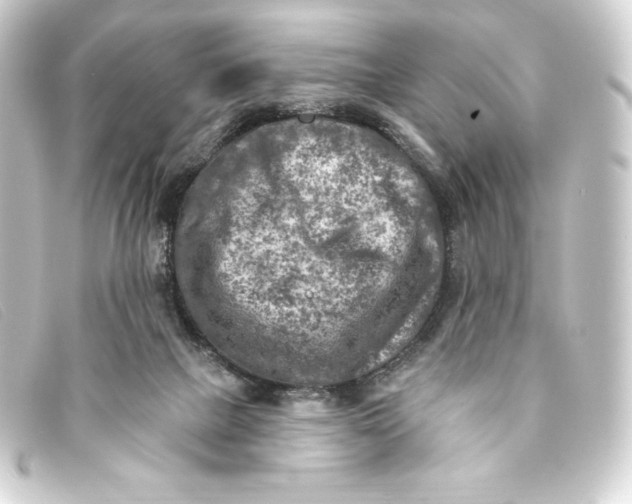 X0000093170073200710241048