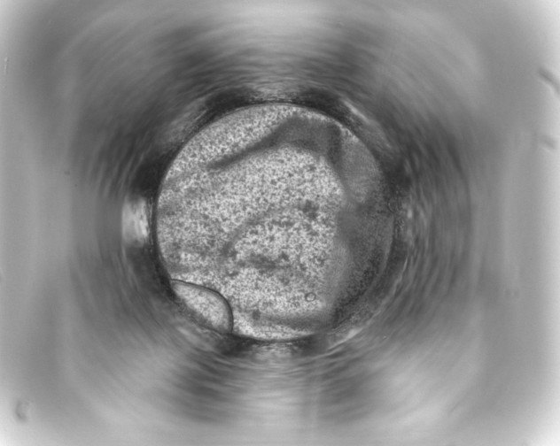 X0000093170075200710241048