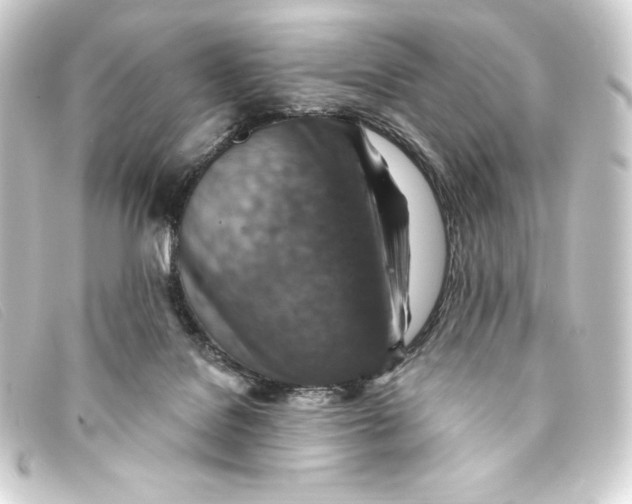 X0000093170076200710241048