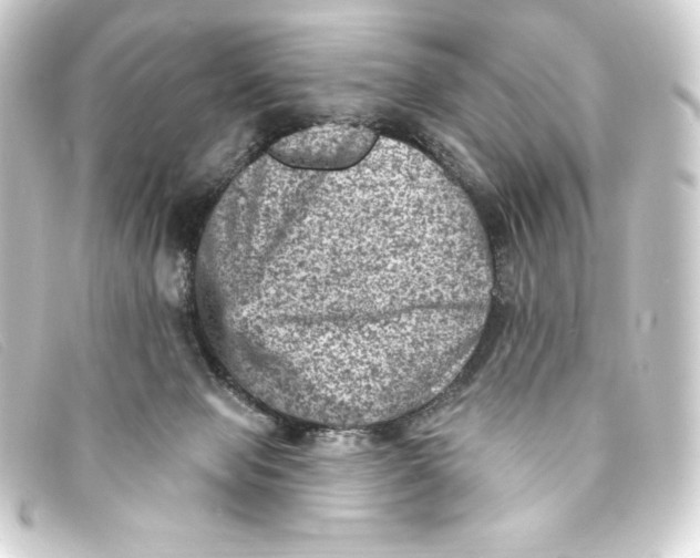 X0000093170077200710241048