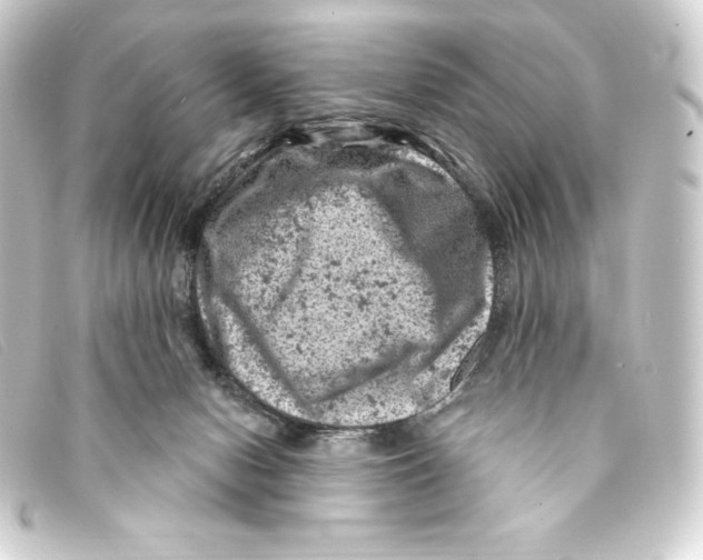 X0000093170078200710241048