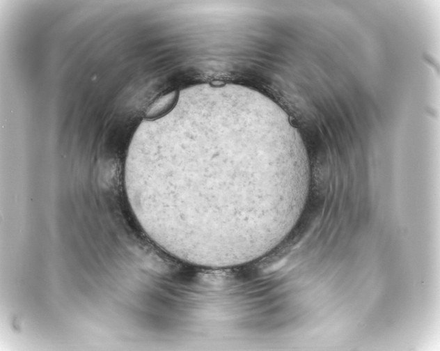 X0000093170079200710241048