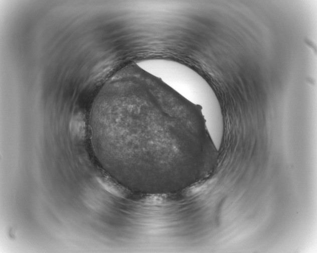 X0000093170080200710241048