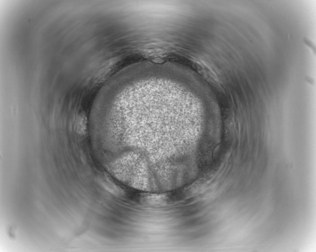 X0000093170081200710241048