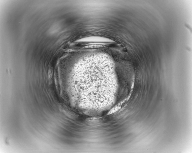 X0000093170082200710241048