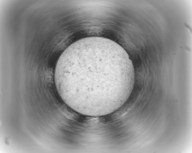 X0000093170083200710241048