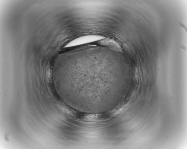 X0000093170084200710241048