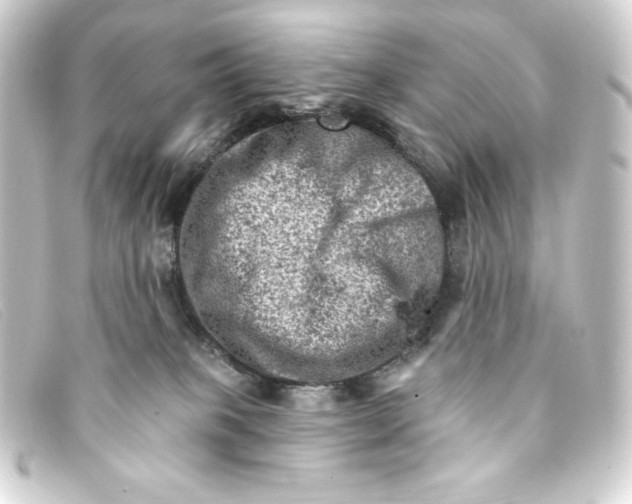 X0000093170085200710241048