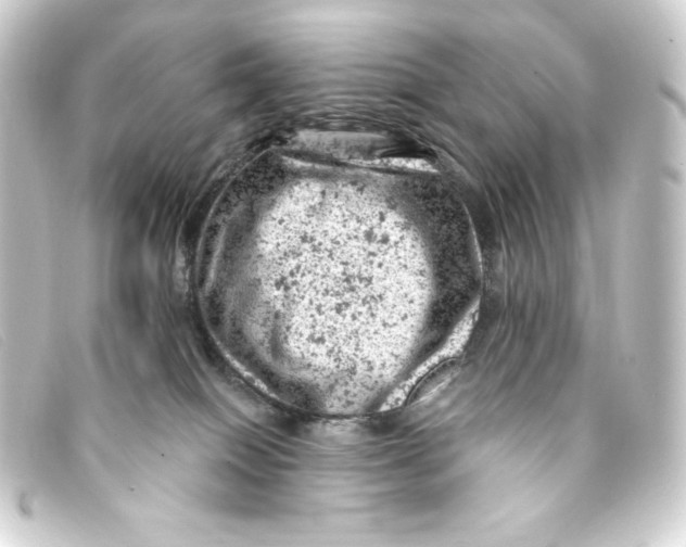 X0000093170086200710241048