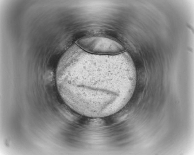 X0000093170087200710241048