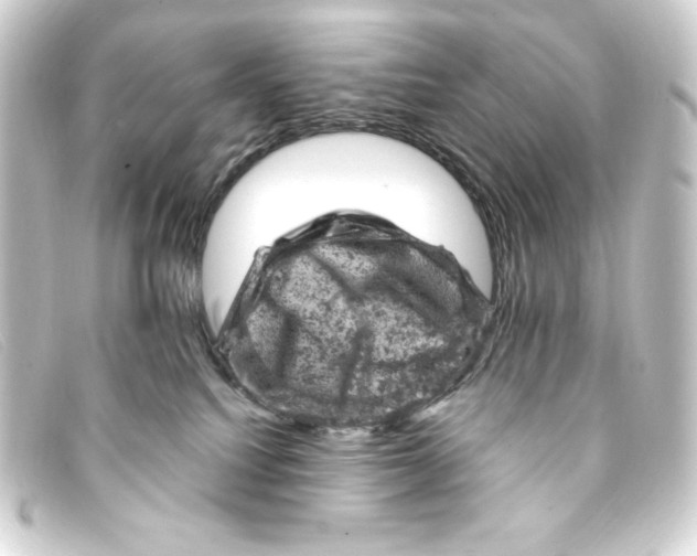 X0000093170088200710241048