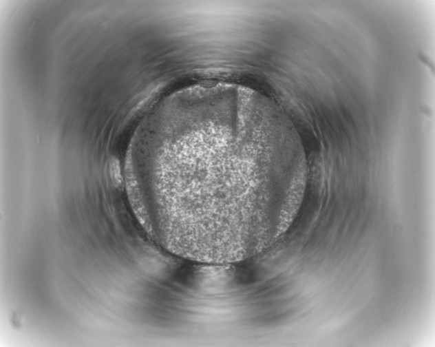 X0000093170089200710241048