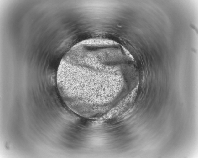 X0000093170090200710241048