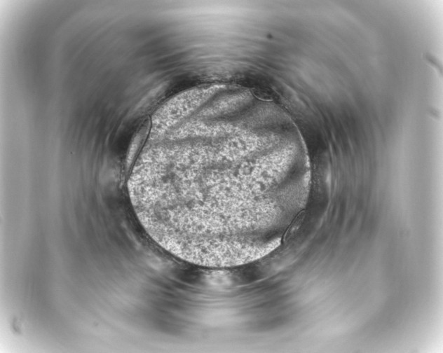 X0000093170091200710241048