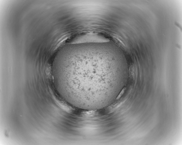 X0000093170092200710241048