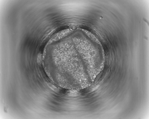 X0000093170093200710241048