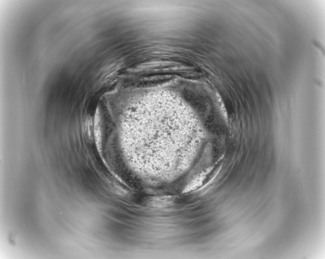 X0000093170094200710241048