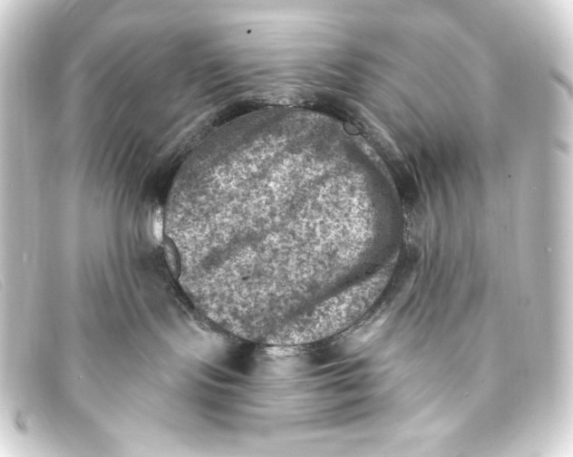 X0000093170095200710241048