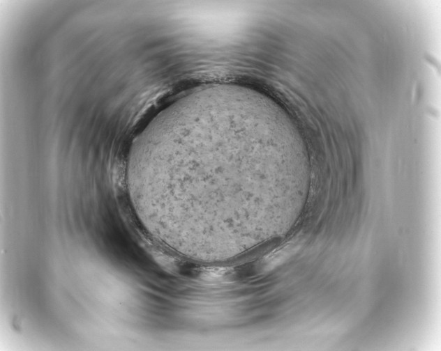 X0000093170096200710241048