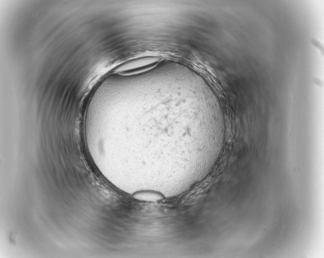 X0000093170098200710241048