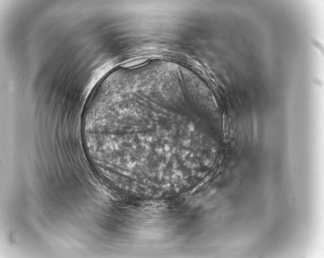 X0000093170099200710241048