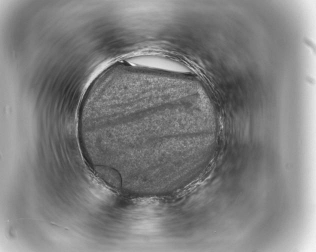 X0000093170100200710241048