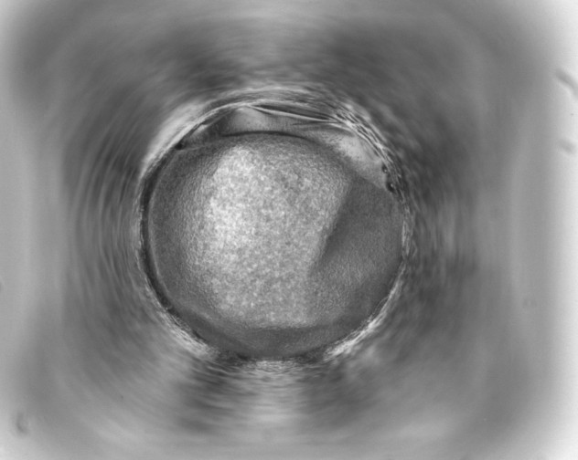 X0000093170101200710241048