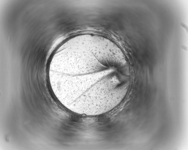 X0000093170102200710241048