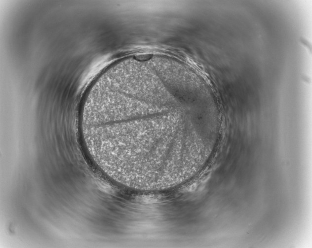 X0000093170103200710241048