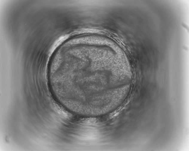 X0000093170104200710241048