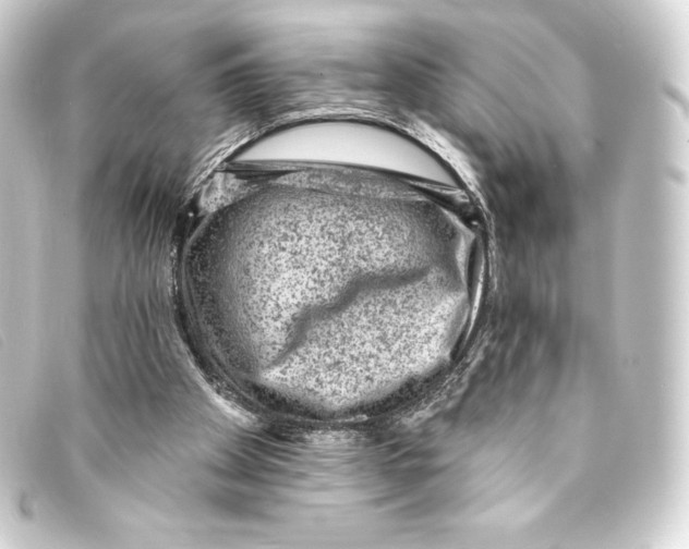 X0000093170105200710241048