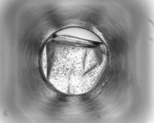 X0000093170106200710241048