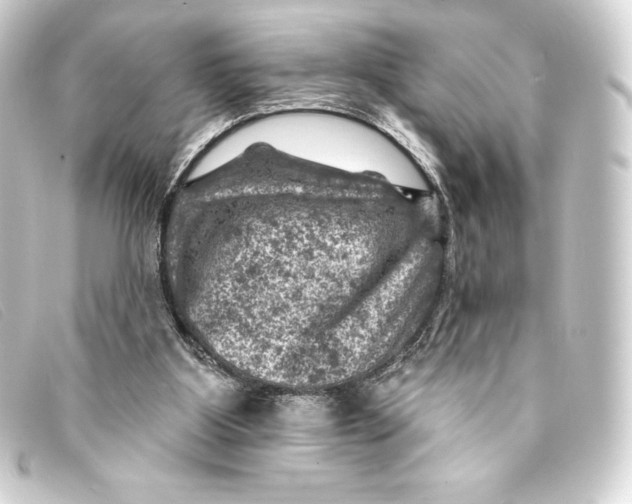 X0000093170107200710241048