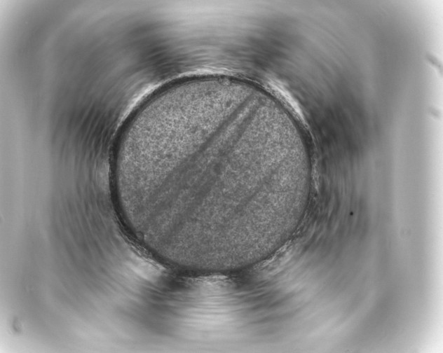 X0000093170108200710241048