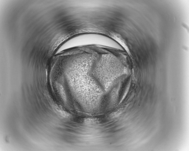 X0000093170109200710241048