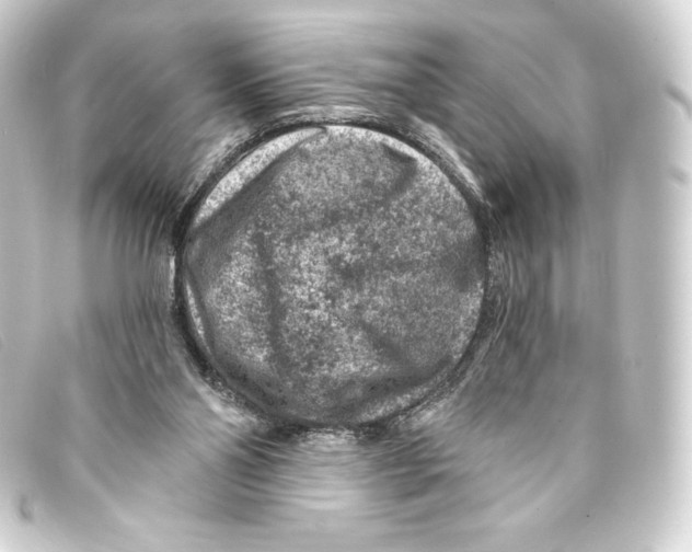 X0000093170110200710241048