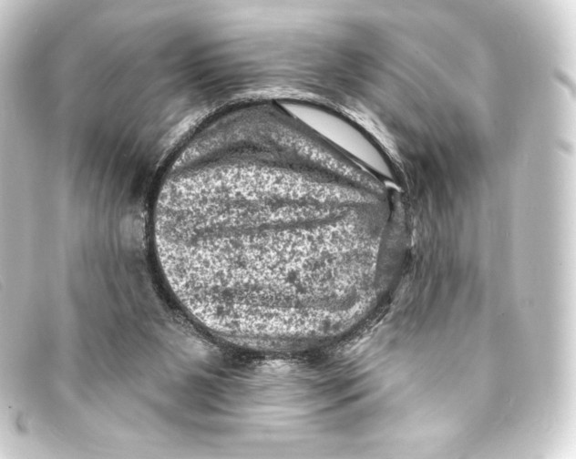 X0000093170111200710241048