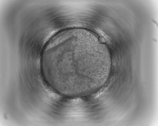 X0000093170112200710241048