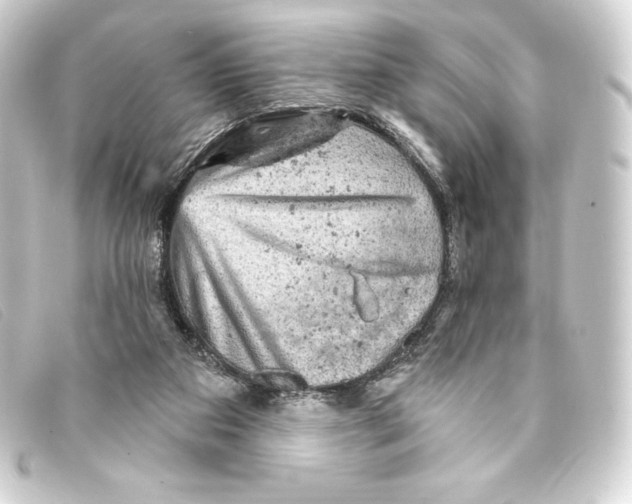 X0000093170113200710241048